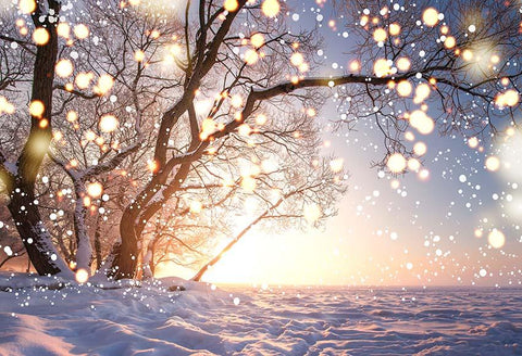 Winter Snow Tree Bokeh Christmas backdrop UK for Photography GX-1095