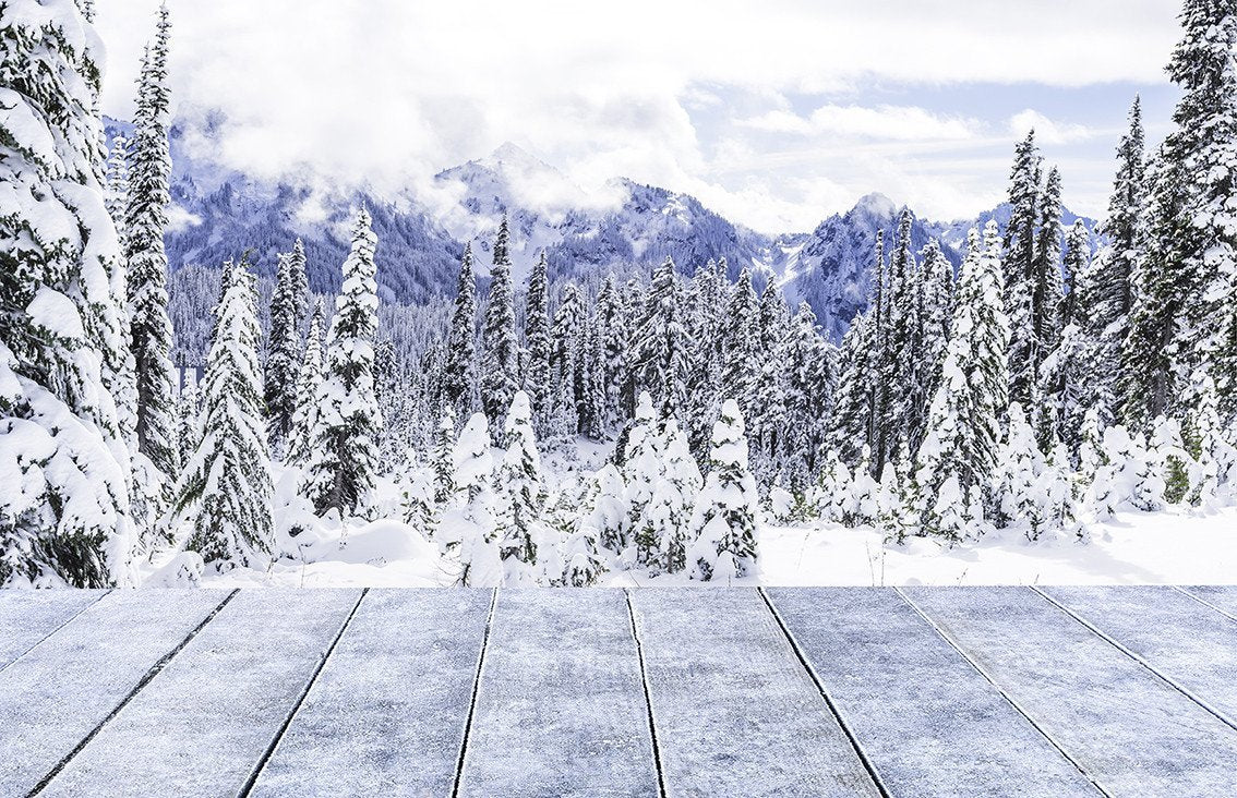 Winter Backdrops Snowy Backdrop White Background HJ02707