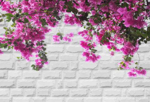 White Brick Wall Spring Flower Photo Backdrop UK HJ03177