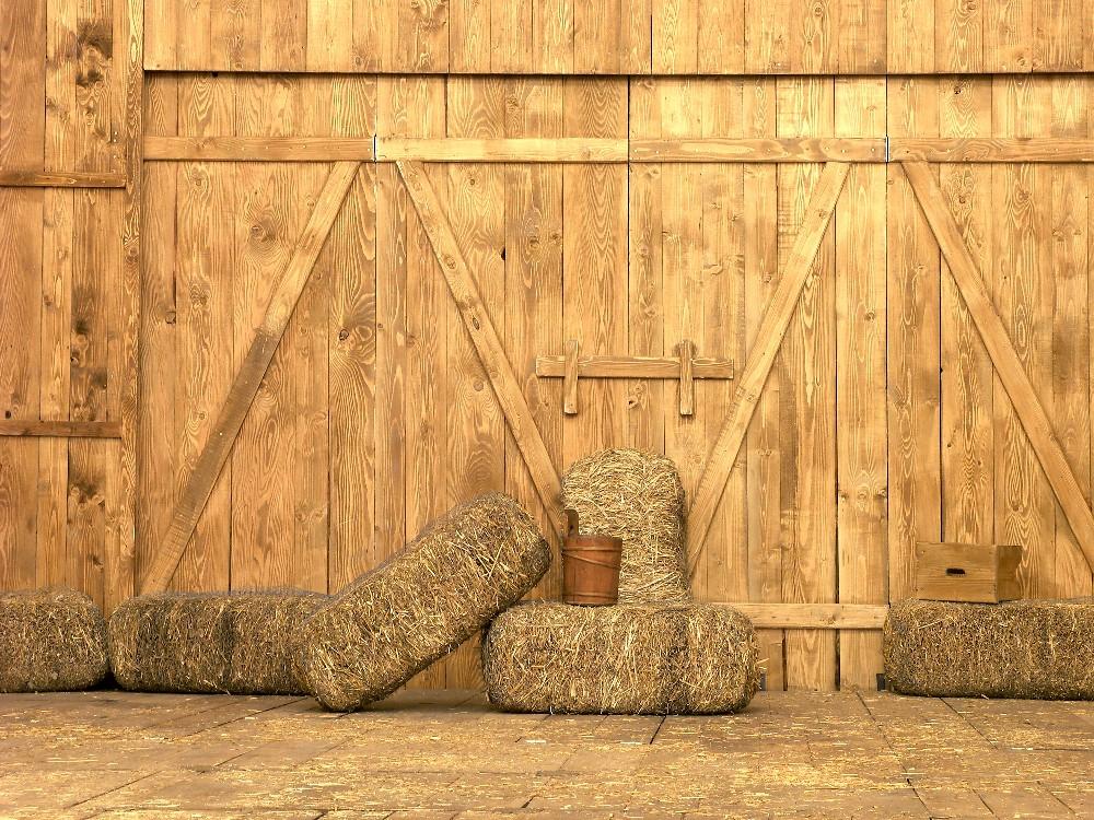 Barn Door Straw Farmhouse Photo Studio Backdrop DBD-19354