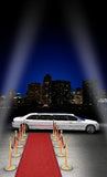 Hollywood Theme Red Carpet Night City Party Decorations Backdrops DBD-19435
