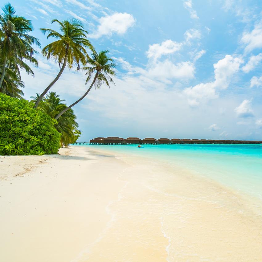 Beach Blue Ocean Seaside Summer Photo Backdrops J04536