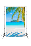 Beach Ocean Coconut Tree Photography Backdrop J05481
