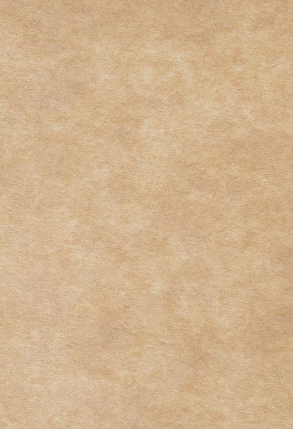 Sandy Beige Abstract Texture Photography backdrop UK for Picture J08079