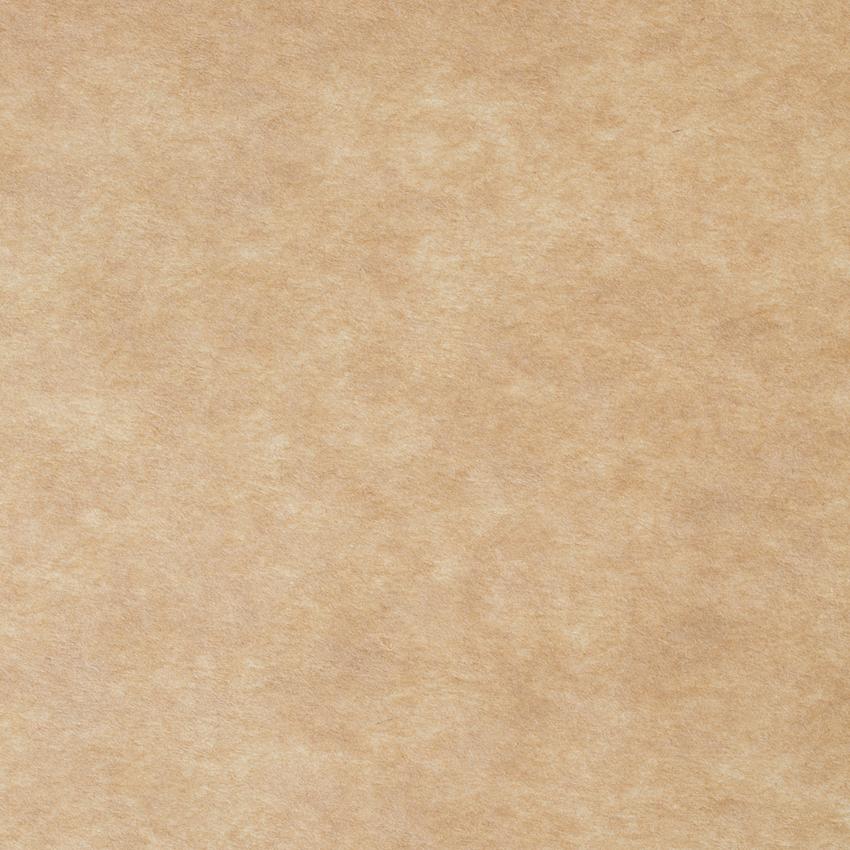 Sandy Beige Abstract Texture Photography backdrop UK for Picture J08079
