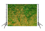 Green Plants Vintage Brick Wall Photography Backdrop UK K-788