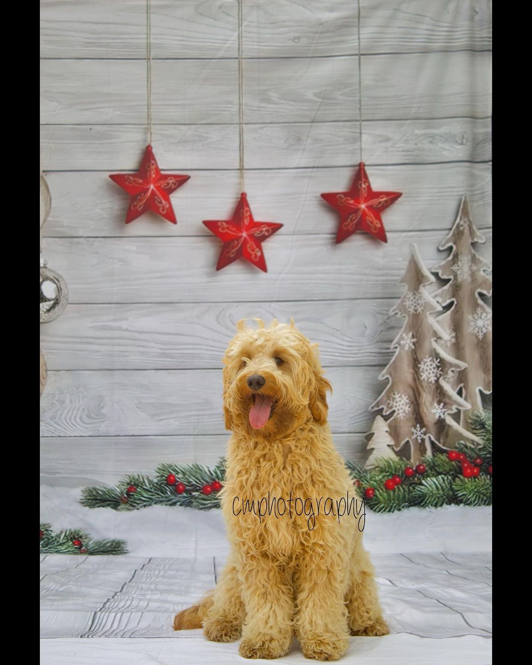 Christmas Decorations Wood Floor Photography Backdrop UK LV-866