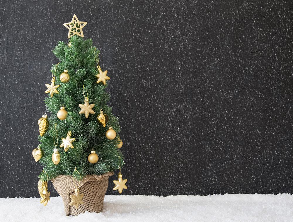 Christmas Tree Snow Black Christmas Backdrops DBD-19293