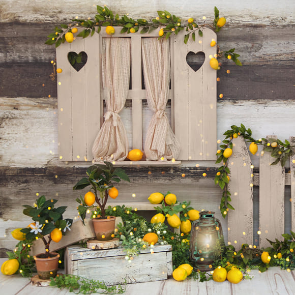 Summer Photography Lemon Tree Barn Backdrop UK M-35