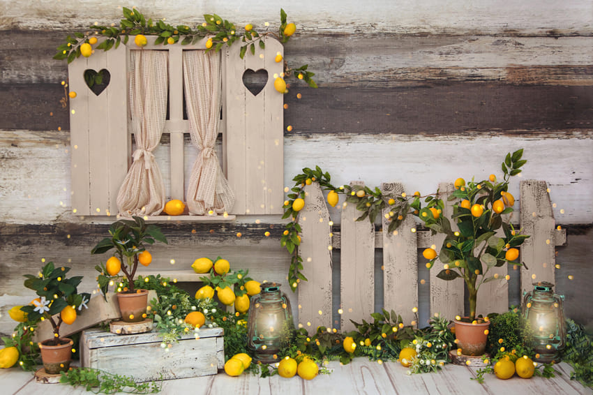 Summer Photography Lemon Tree Barn Backdrop UK M-35