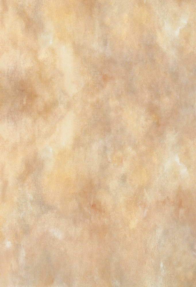 Portrait backdrop UK Brown Abstract Texture  MR-2159