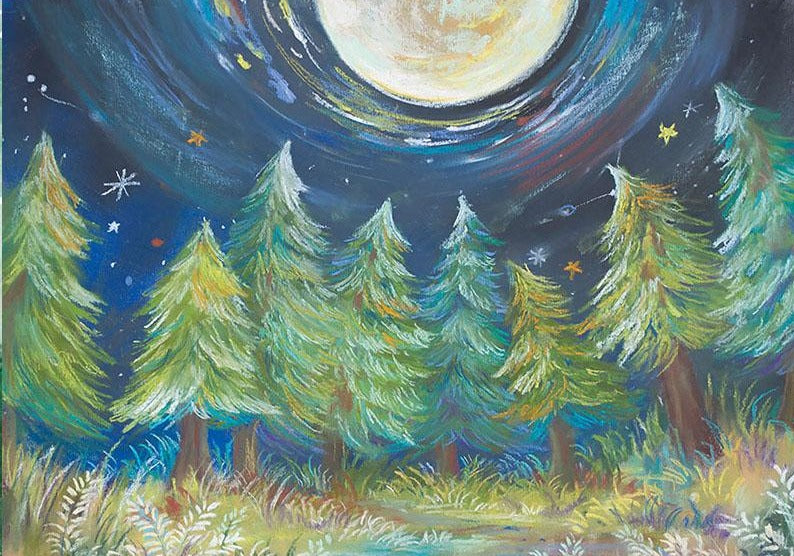 Oil Paint Christmas Tree Forest Under the Night Sky Children Photo Studio Backdrop NB-093