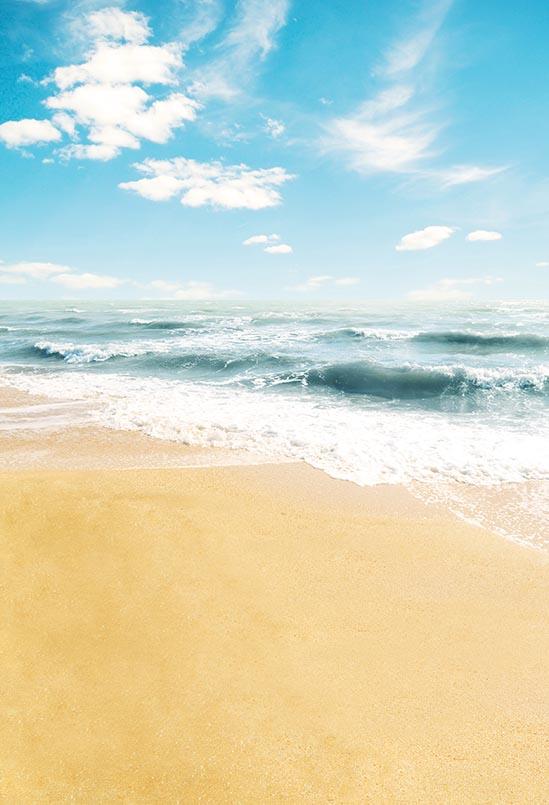 Summer Sea Beach Blue Sky Backdrops for Studio S-3105