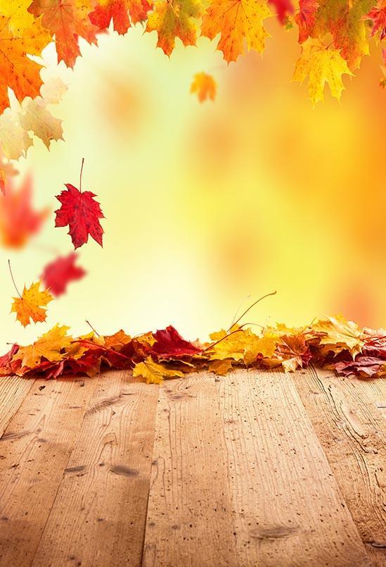 Season Backdrops Autumn Background Maple Leaf Backdrops S-3136