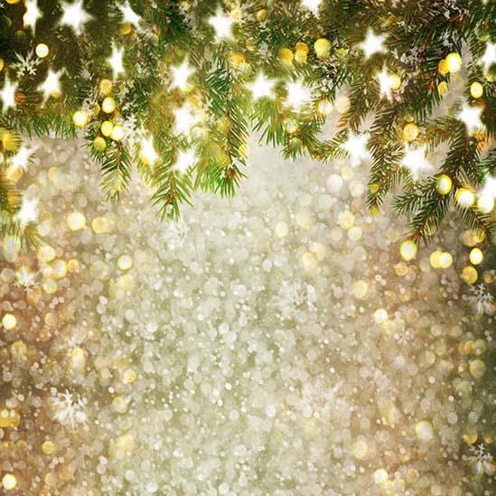 Bokeh Christams Tree Snowflake Stars Backdrop for Studio S-3180