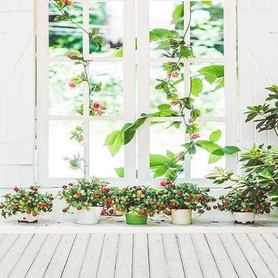 White Window Pot Plant Wooden Floor Backdrop for Studio S-3214