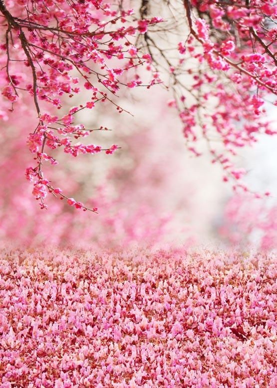 Pink Spring Flowers Beautiful Photo Backdrop S-982
