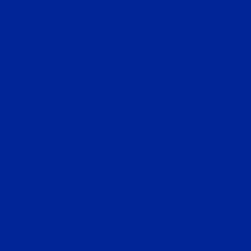 Royal Blue Solid Color Portrait Photography backdrop UK S10