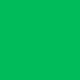 Solid Color Green Screen Photo backdrop UK Studio Photography Props S12