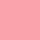 Solid Color Portrait Photography backdrop UK Baby Pink Photo Background SC6