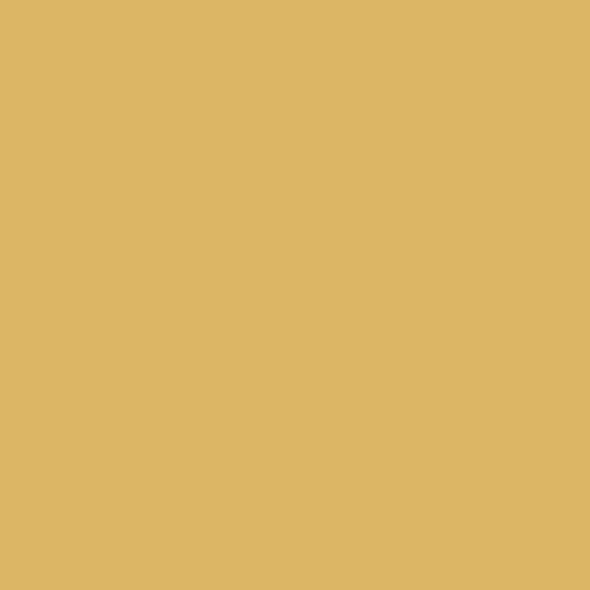 Solid Color backdrop UK Gold Photo Studio Background SC17