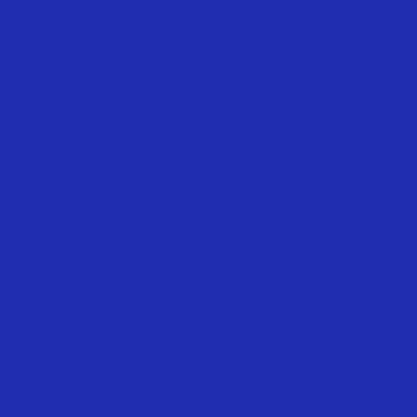 Royal  Blue backdrop UK Solid Color Photography Background for Studio SC42