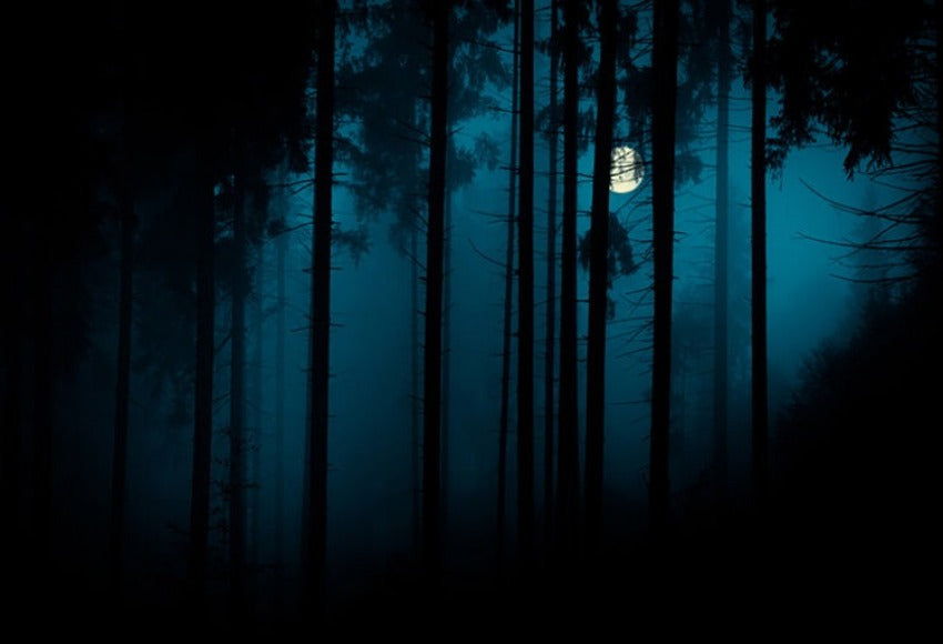 Magic Mystery Night Foggy Forest Halloween Backdrop