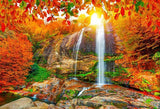 Waterfall Fall  Secnery Background for Photography 