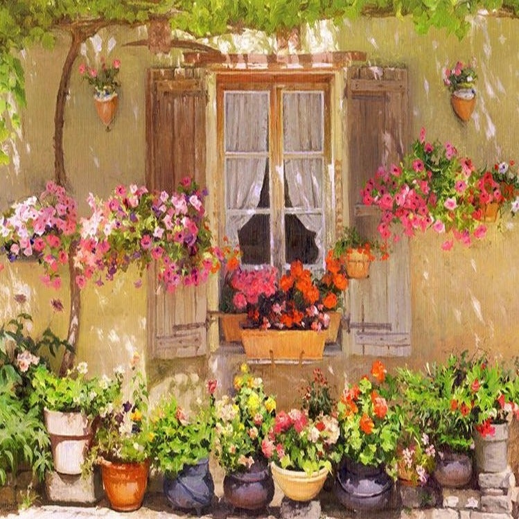 Beautiful  Flowers Window Photograpphy Backdrop SH-808