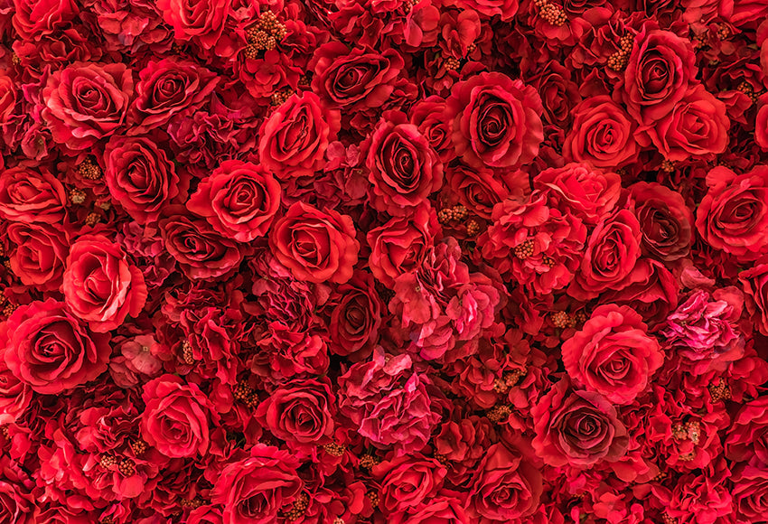 Red Rose Flower Wedding Photography Backdrop SH-994