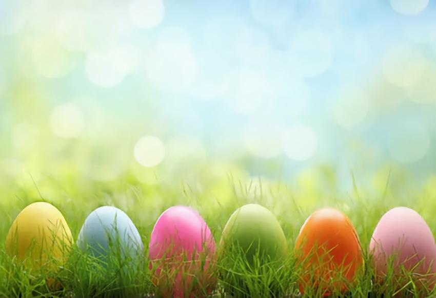 Easter Eggs Green Grass Bokeh Photography Backdrop UK SH005