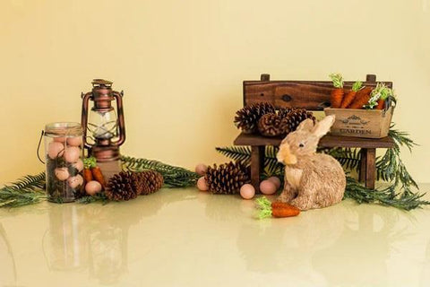 Easter Eggs Rabbit  Photo Studio Backdrop SH599