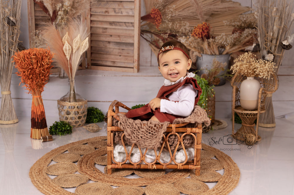 Rustic Wood Door Backdrop for Photography SH611