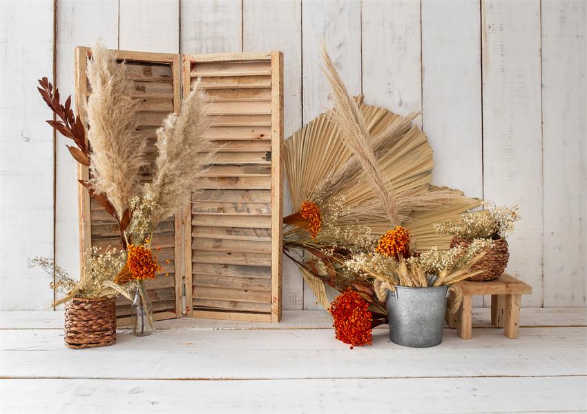 Rustic Wood Door Backdrop for Photography