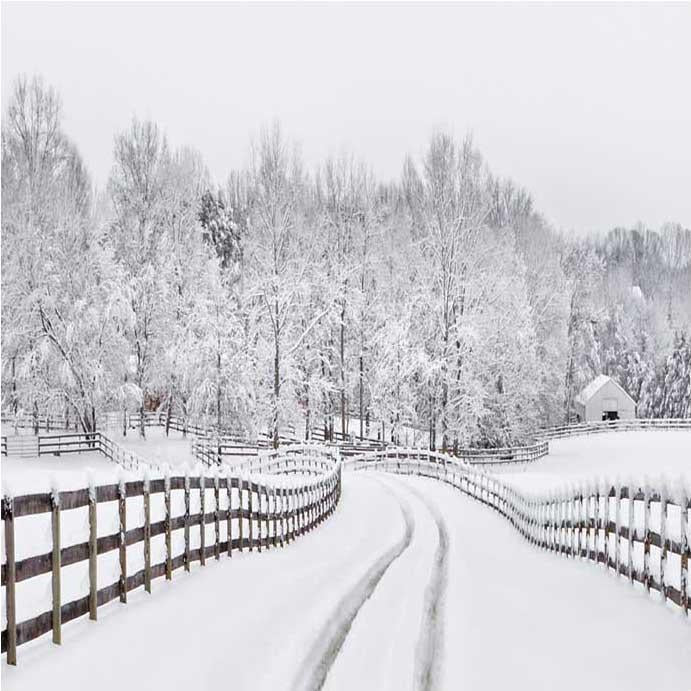 Winter Snow  Road Forest backdrop UK for Photo Booth ST-439