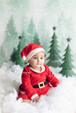 Fir Trees backdrop UK Snow Background Baby Photography ZG-71