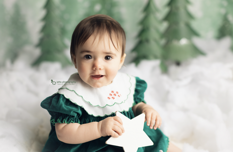 Fir Trees backdrop UK Snow Background Baby Photography ZG-71