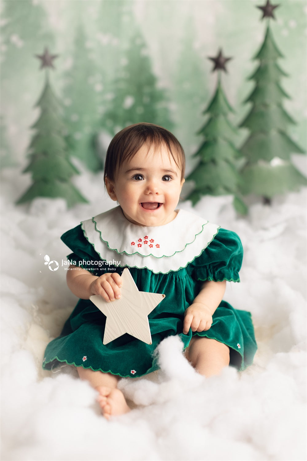 Fir Trees backdrop UK Snow Background Baby Photography ZG-71