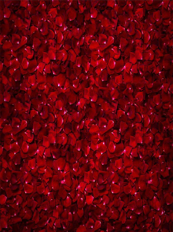 Red rose petals Backdrop uk for Studio Photo Shoot KAT- 69
