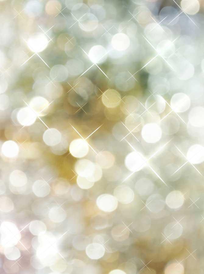 Luxury Bright Bokeh Portrait Photography Backdrop 