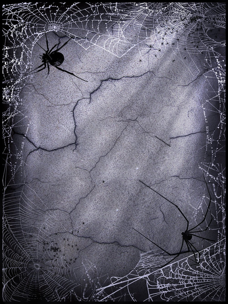 Festival Backdrops Halloween Cracked Walls Spider Web Background IBD-P19065