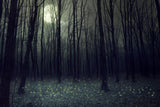 Halloween Backdrop UK Festival Backdrop UK Dull White Moonlight Dark Forest Background DBD-H19022