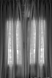 Festival Backdrops Halloween Backdrops Grey Backdrop Weird And Mysterious Curtain