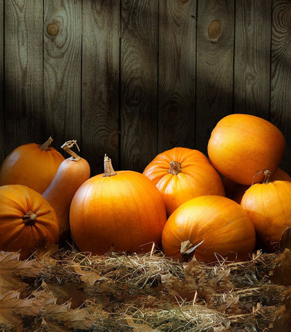Harvest Season Gigantic Pumpkin in Warehouse Background Halloween Backdrops IBD-P19111