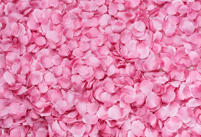 Pink Petal Beautiful Flower Backdrop for Photography Decoration