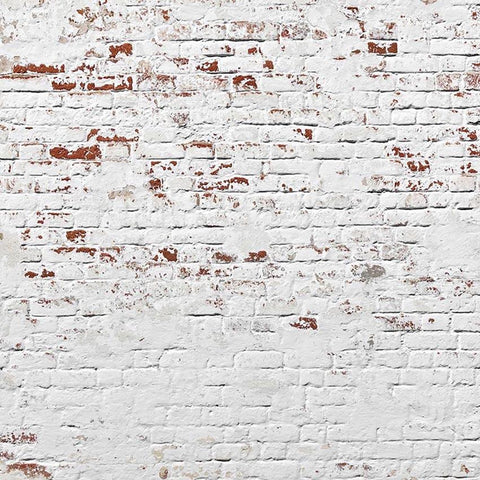 White Brick Wall Photography Backdrop for Studio LV-138