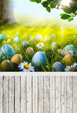 Easter Eggs Spring Green Grass With Wood Floor Backdrop for Photography LV-1687