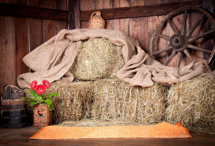 Old Barn Backdrop West Cowboy Vintage Wooden Barn Straw Backdrop LV-802