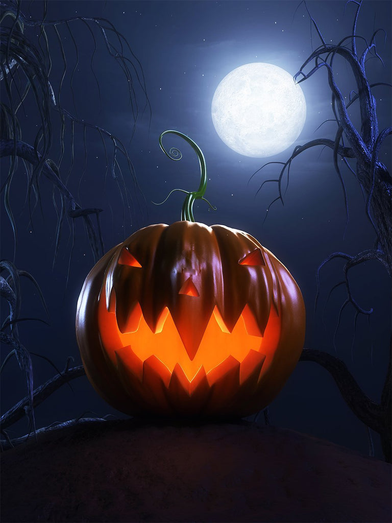 Moonlight Background Evil Pumpkin Lanterns Halloween Backdrops IBD ...