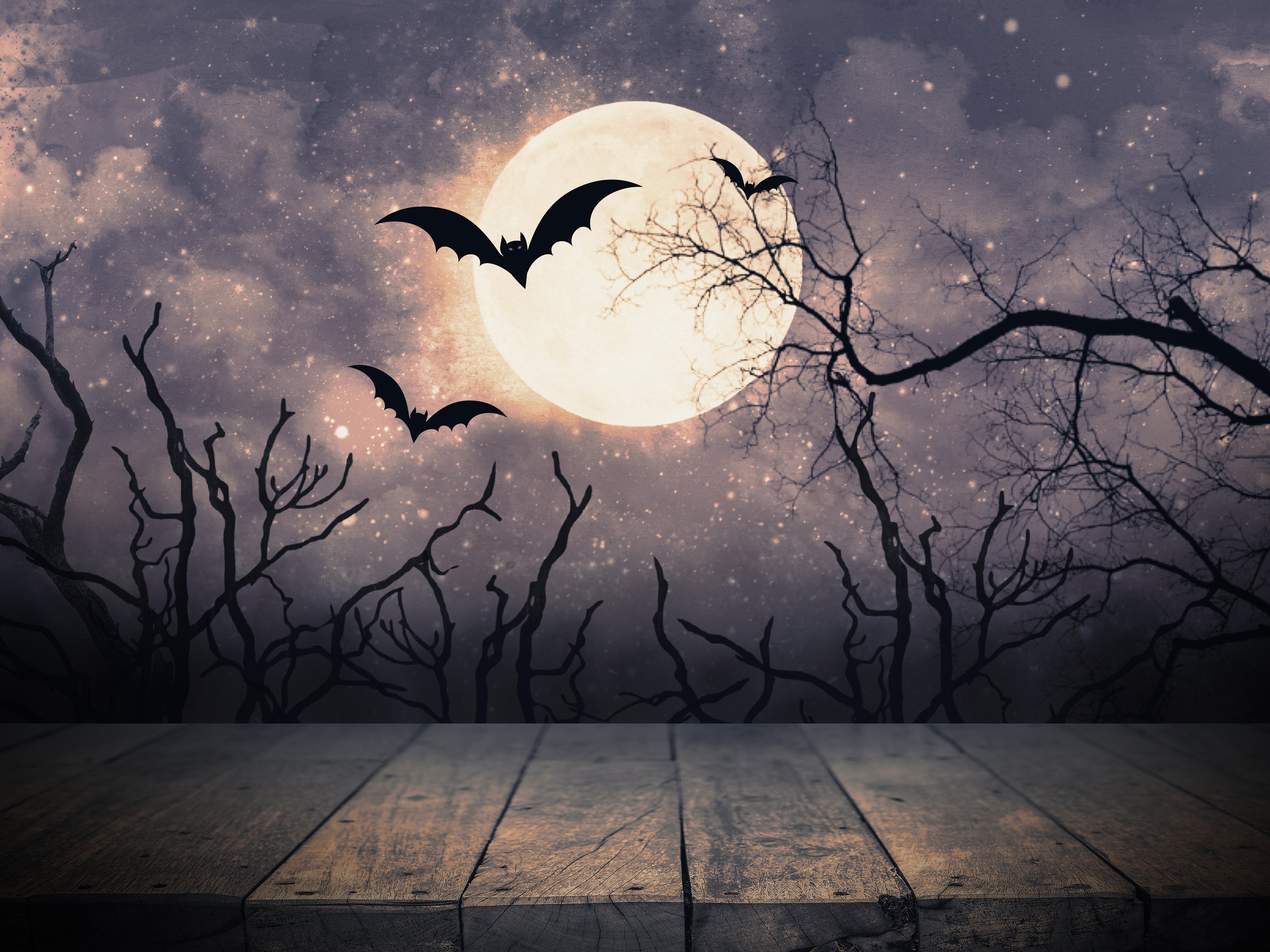 Moonlight Background Flying Bats and Trees Halloween Backdrops IBD-H19135